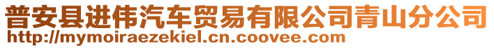 普安縣進(jìn)偉汽車(chē)貿(mào)易有限公司青山分公司