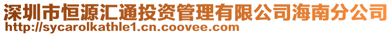 深圳市恒源匯通投資管理有限公司海南分公司