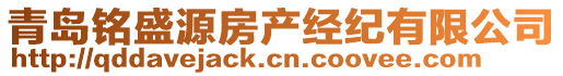 青島銘盛源房產(chǎn)經(jīng)紀(jì)有限公司