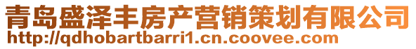 青島盛澤豐房產營銷策劃有限公司