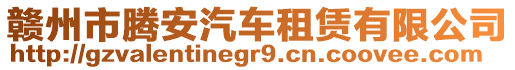 贛州市騰安汽車租賃有限公司