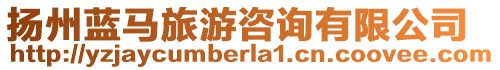 揚(yáng)州藍(lán)馬旅游咨詢有限公司