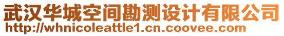 武漢華城空間勘測(cè)設(shè)計(jì)有限公司