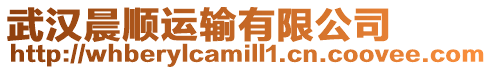 武漢晨順運(yùn)輸有限公司