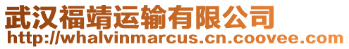 武漢福靖運輸有限公司