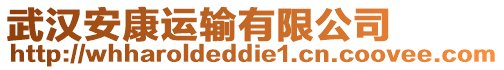 武漢安康運輸有限公司