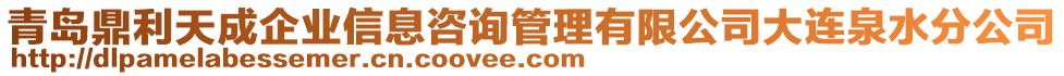 青島鼎利天成企業信息咨詢管理有限公司大連泉水分公司