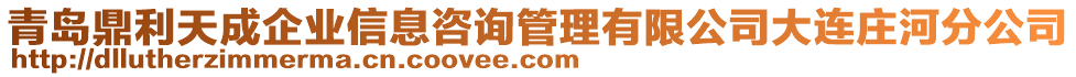 青島鼎利天成企業信息咨詢管理有限公司大連莊河分公司