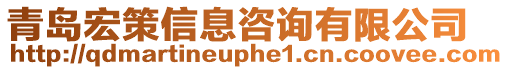 青島宏策信息咨詢有限公司