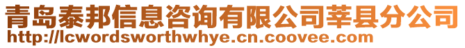 青島泰邦信息咨詢有限公司莘縣分公司