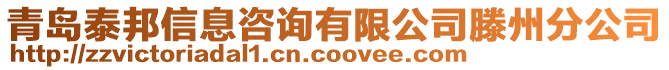 青島泰邦信息咨詢有限公司滕州分公司