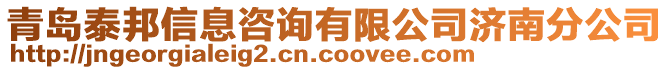 青島泰邦信息咨詢有限公司濟南分公司