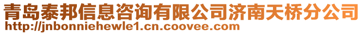 青島泰邦信息咨詢有限公司濟南天橋分公司