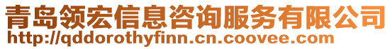 青島領(lǐng)宏信息咨詢服務(wù)有限公司