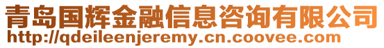 青島國輝金融信息咨詢有限公司