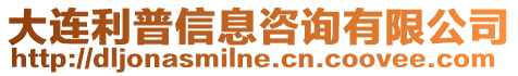 大連利普信息咨詢有限公司