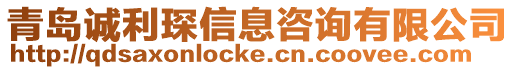 青島誠利琛信息咨詢有限公司