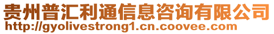 貴州普匯利通信息咨詢有限公司