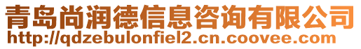 青島尚潤(rùn)德信息咨詢有限公司