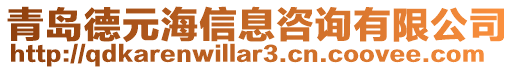 青島德元海信息咨詢有限公司