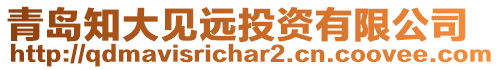 青島知大見遠投資有限公司