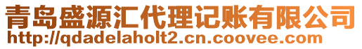 青島盛源匯代理記賬有限公司