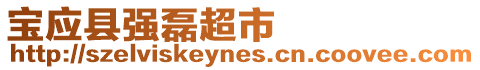 寶應(yīng)縣強(qiáng)磊超市