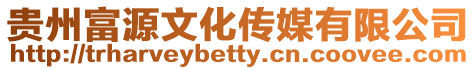 貴州富源文化傳媒有限公司