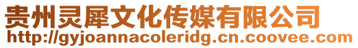 貴州靈犀文化傳媒有限公司