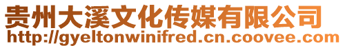 貴州大溪文化傳媒有限公司
