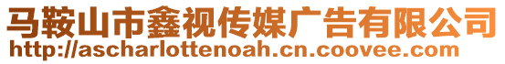 馬鞍山市鑫視傳媒廣告有限公司