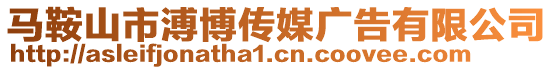 馬鞍山市溥博傳媒廣告有限公司