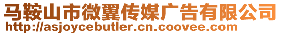 馬鞍山市微翼傳媒廣告有限公司