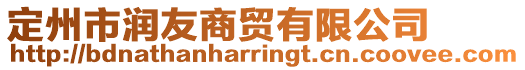 定州市潤友商貿有限公司