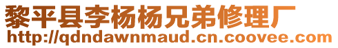 黎平縣李楊楊兄弟修理廠