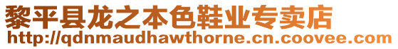 黎平縣龍之本色鞋業(yè)專賣店