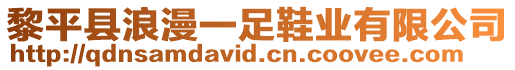 黎平縣浪漫一足鞋業有限公司