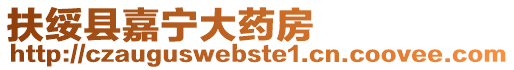 扶綏縣嘉寧大藥房