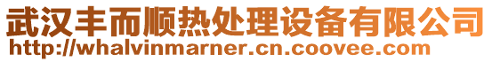 武漢豐而順熱處理設備有限公司