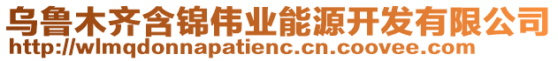 烏魯木齊含錦偉業能源開發有限公司