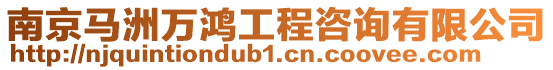 南京馬洲萬鴻工程咨詢有限公司