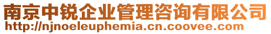 南京中銳企業管理咨詢有限公司