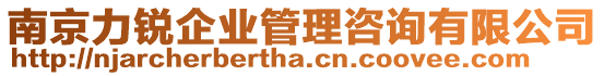 南京力銳企業(yè)管理咨詢(xún)有限公司