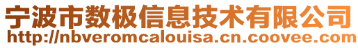 寧波市數(shù)極信息技術(shù)有限公司
