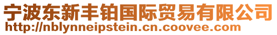 寧波東新豐鉑國際貿易有限公司