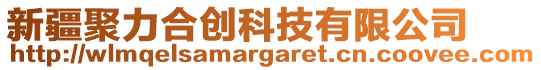 新疆聚力合創科技有限公司
