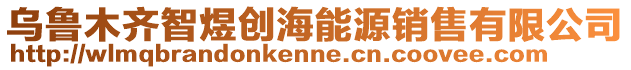 烏魯木齊智煜創海能源銷售有限公司