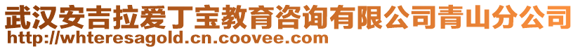 武漢安吉拉愛丁寶教育咨詢有限公司青山分公司