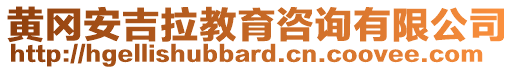 黃岡安吉拉教育咨詢有限公司