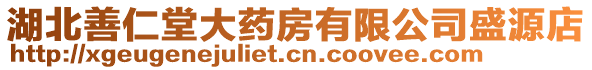 湖北善仁堂大藥房有限公司盛源店